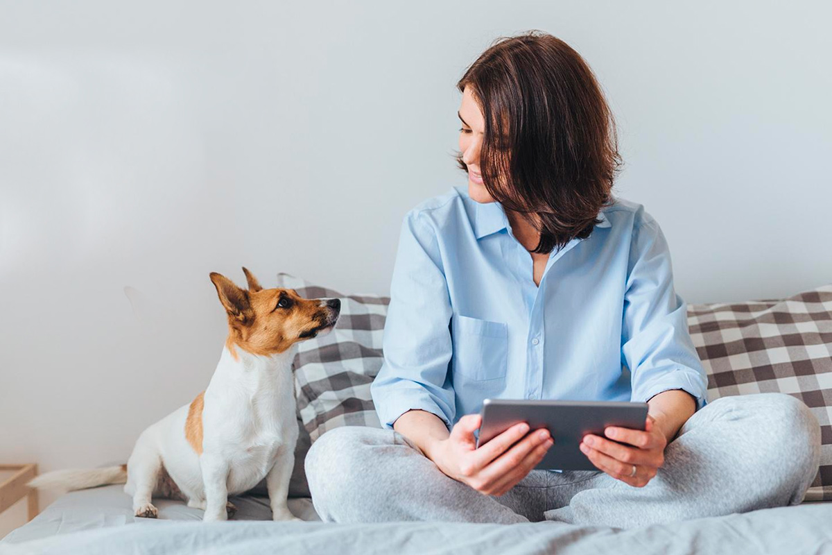 Pets no apartamento: como tornar mais confortável para eles?