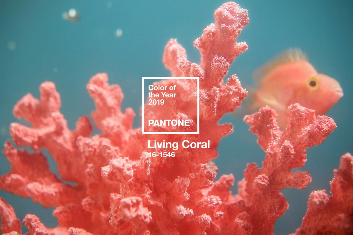 Living Coral: saiba como aplicar a cor do ano em ambientes