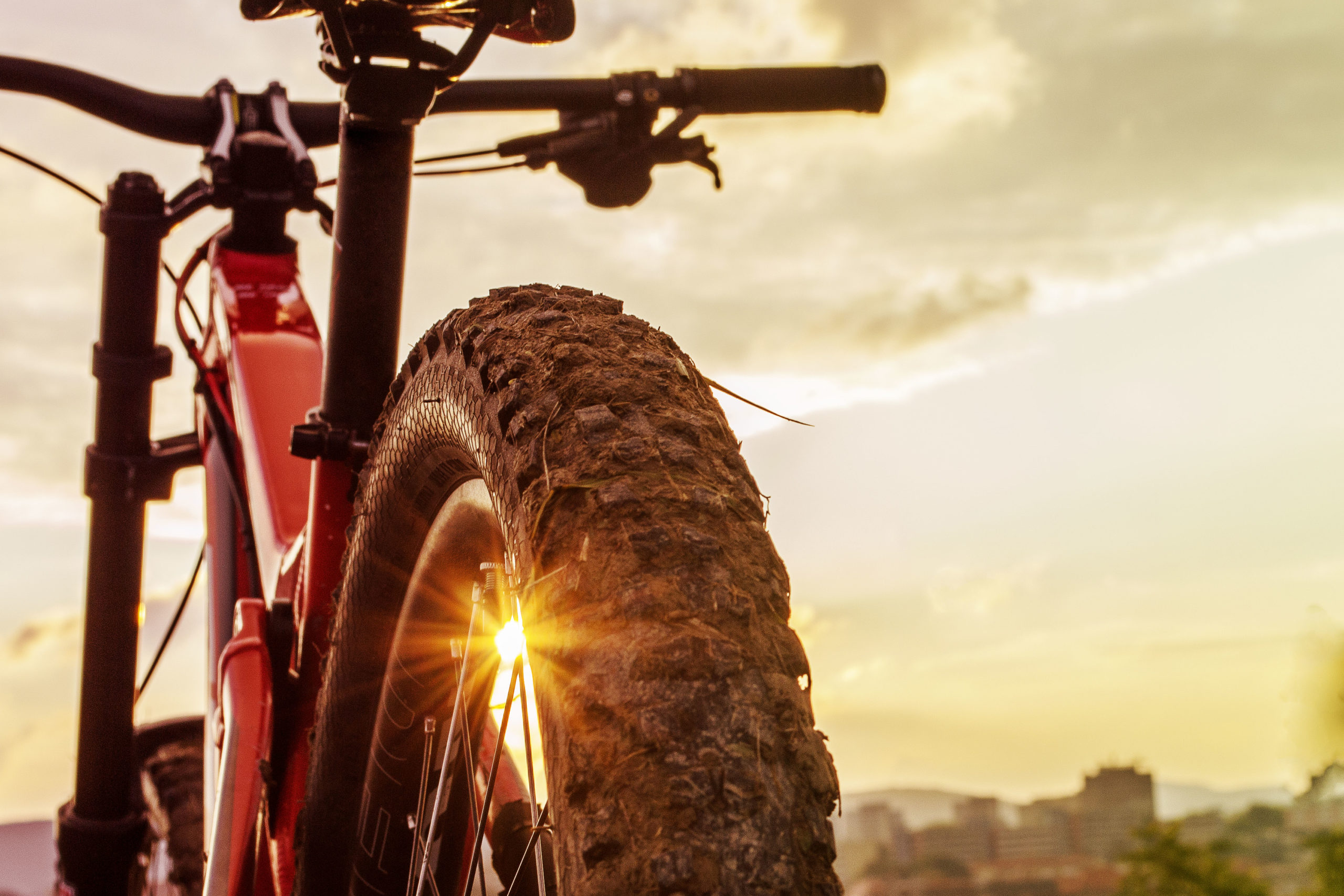 Conheça todos os benefícios de adotar a bicicleta como transporte